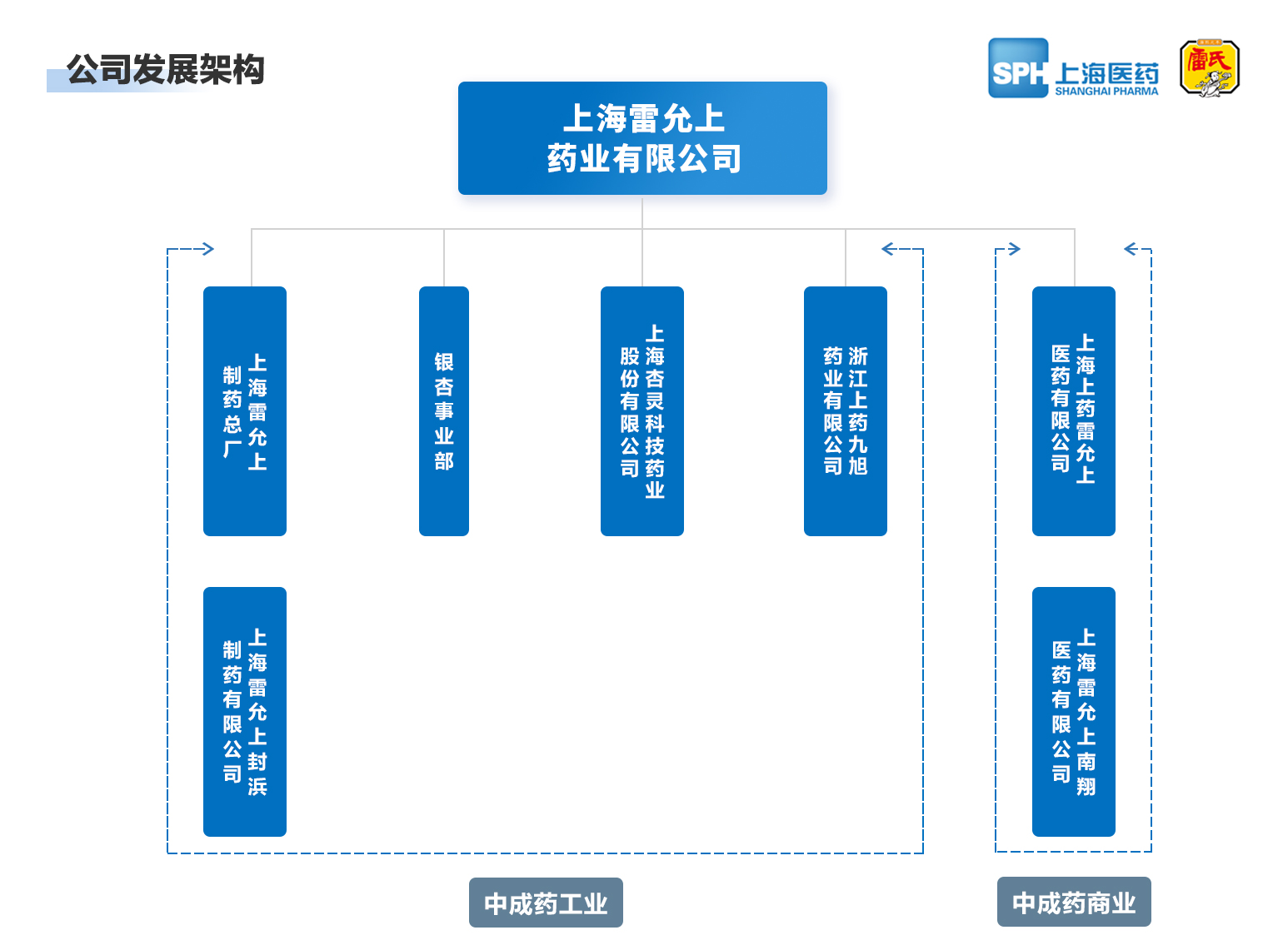 上海金年会药业有限公司